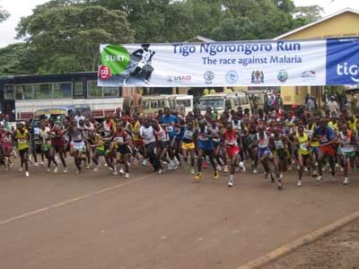 Ngorongoro half marathon in Arusha