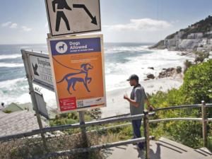 New rules for dogs on Cape Town beaches