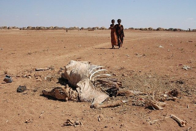 Ethiopia faces worst drought in 30 years