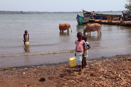 Lake Victoria water unsafe to drink