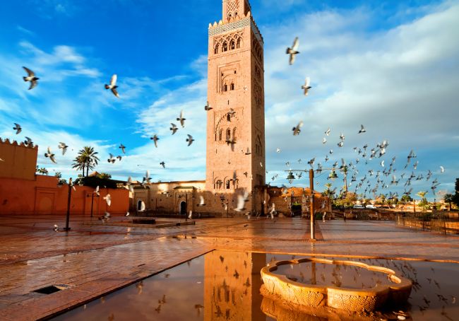 Top 5 must see attractions in Marrakech