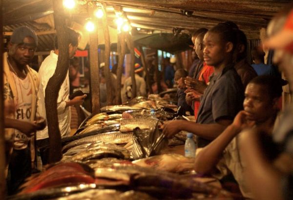 Japan funds new fish market in Maputo - image 2