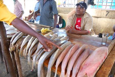 Japan funds new fish market in Maputo - image 3