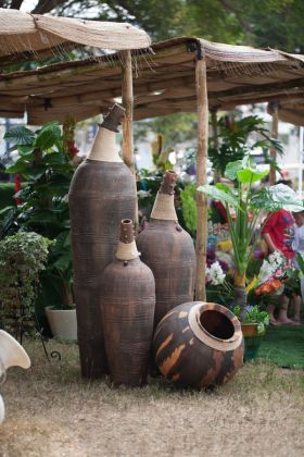 Ghana Garden and Flower show - image 2