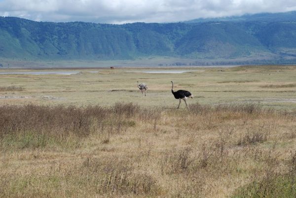 Tourist disputes continue between Kenya and Tanzania - image 4