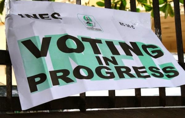 Buhari's party makes gains in local elections - image 4