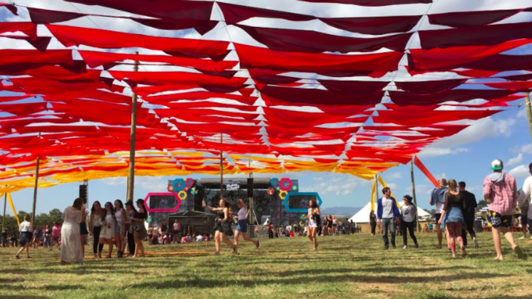 Rocking the Daisies music festival in Darling - image 2