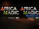 Africa Magic Viewers Choice Awards - image 3
