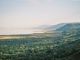 Hippo under threat in Lake Manyara - image 4