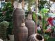 Ghana Garden and Flower show - image 2