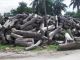 Tanzania and Kenya sign deal to tackle illegal timber trade - image 2