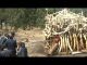 Ethiopia burns ivory to discourage poaching - image 2