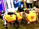 Annual Dar Goat Races - image 1