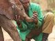 Arusha to open baby elephant orphanage - image 4
