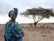 African Union honours Wangari Maathai - image 1