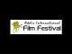Addis Documentary Film Festival - image 4