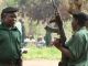 Fighting resumes between Renamo and Frelimo - image 3