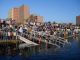 Barges banned on Nile in Cairo - image 4
