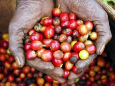 International coffee conference in Addis Ababa