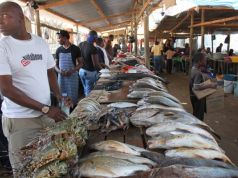 Japan funds new fish market in Maputo