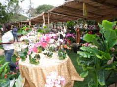 Ghana Garden and Flower show