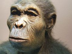 Conference on origins of early hominins in East Africa