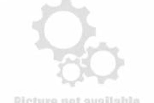 Online English Teacher - Mother tongue - TEFL qualified