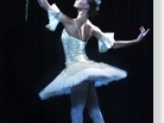 Imperial Russian Ballet