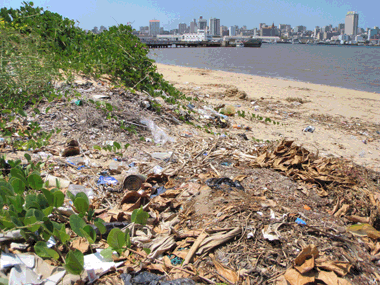 Recycling on Maputo's beaches