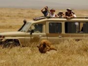 African vacation holidays, travel deals, wildlife safaris, kilimanjaro climbing