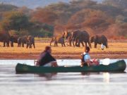 Electronic permits for Arusha's safari tourists