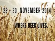 Cape Town beer festival
