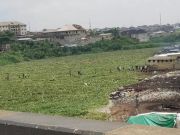 Lagos river “solidifies” with vegetation