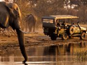 What to know about Safaris in Africa on a budget