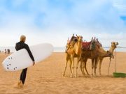 Where to surf on the Moroccan Atlantic coastline