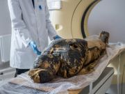 Surprise discovery of first pregnant Egyptian mummy